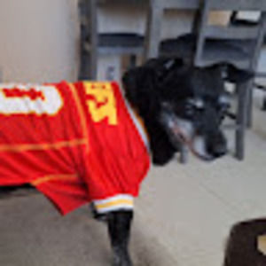 Meet your Posher, Larry